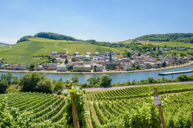 Luxembourg: Moselle Day Trip with Wine Tasting and Boat Tour - Key points at a glance