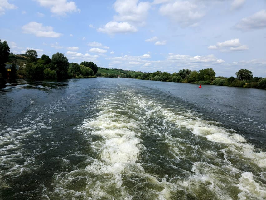 Luxembourg: Moselle Day Trip with Wine Tasting and Boat Tour - Who will enjoy this Moselle day trip?