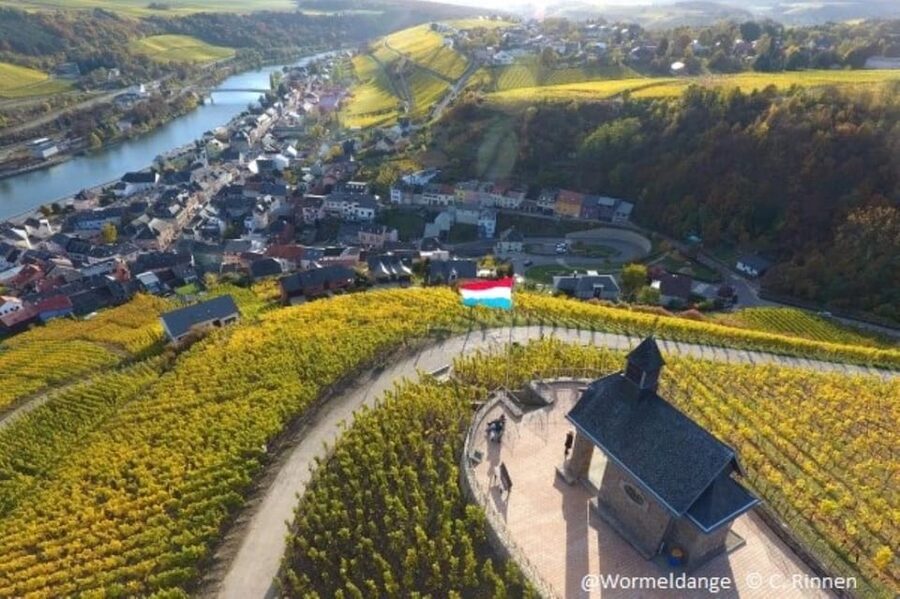 Luxembourg: Moselle Day Trip with Wine Tasting and Boat Tour - A welcome drink at the first wine cellar