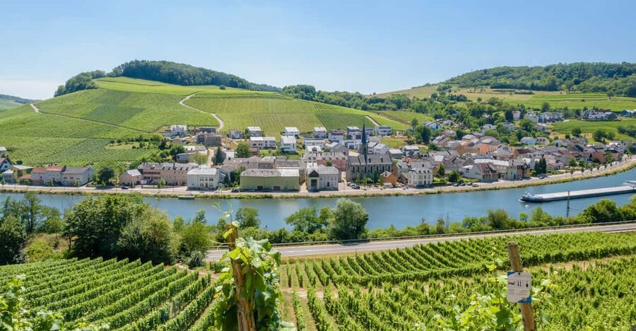 Luxembourg: Moselle Day Trip with Wine Tasting and Boat Tour - Cruising the Moselle at 11:30