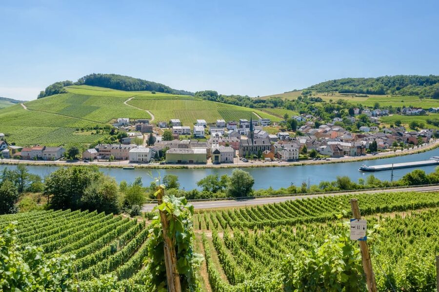 Luxembourg: Moselle Day Trip with Wine Tasting and Boat Tour - What the $136 price really covers