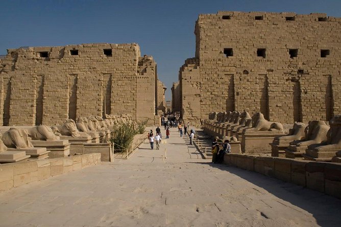 Luxor Private Full-Day Tour: Discover the East and West Banks of the Nile - Karnak Temple: give the East Bank time