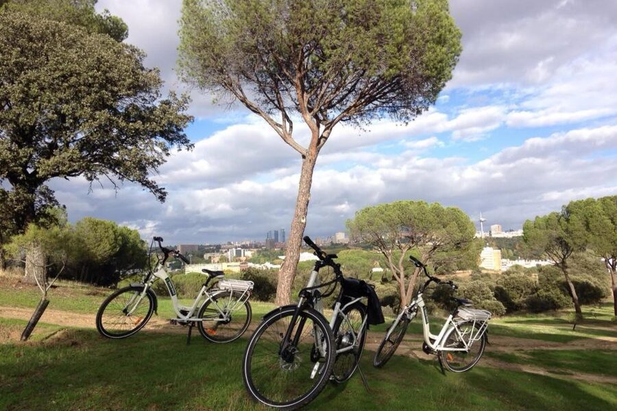 Madrid’s River Side & Casa de Campo Electric Bike Tour - From Plaza Mayor to the Royal Palace