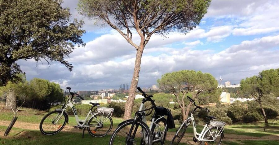 Madrid’s River Side & Casa de Campo Electric Bike Tour - The hilltop view and the work of the electric motor