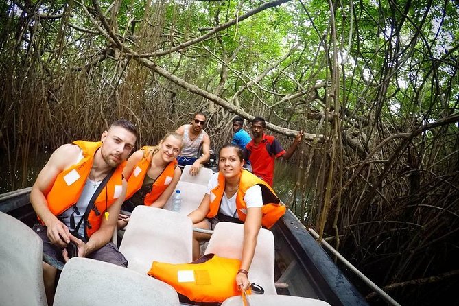 Madu River Boat Safari Balapitiya - Why the Madu River is worth your morning