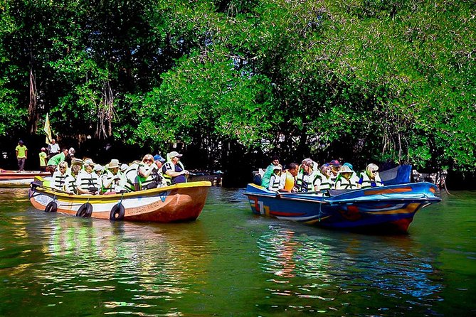 Madu River Boat Safari Balapitiya - Mangroves, reptiles, and birds along the river