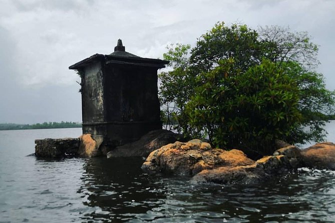 Madu River Boat Safari Balapitiya - Cinnamon Island and a local ingredient