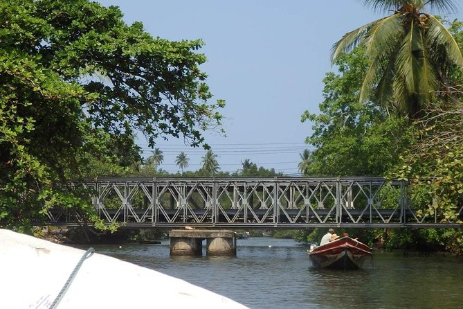 Madu River Boat Safari Balapitiya - Is $29 good value?