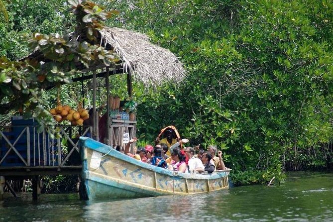 Madu River Boat Safari Balapitiya - What the two-hour boat ride feels like
