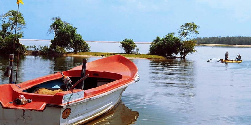 Madu River Boat Tour and Cinnamon Garden visit - Key points to know before you go