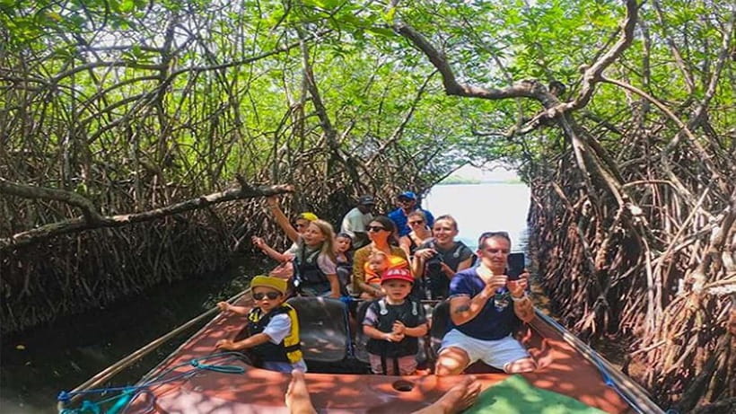 Madu River Boat Tour and Cinnamon Garden visit - A peaceful start on the Madu River