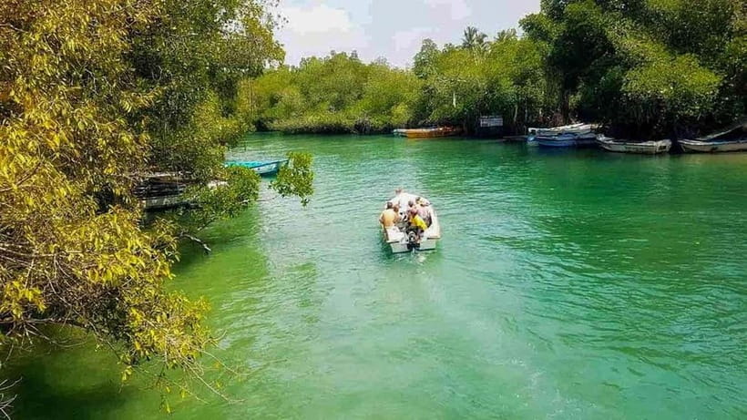 Madu River Boat Tour and Cinnamon Garden visit - Cinnamon Island and the garden stop