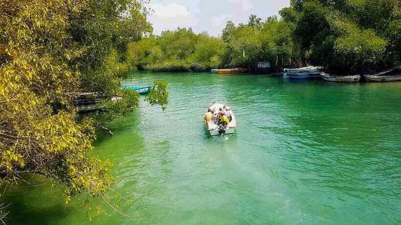 Madu River Boat Tour and Cinnamon Garden visit - The $29 price and what it really covers