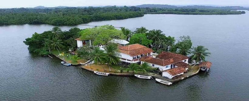 Madu River Boat Tour and Cinnamon Garden visit - Should you book the Madu River tour?