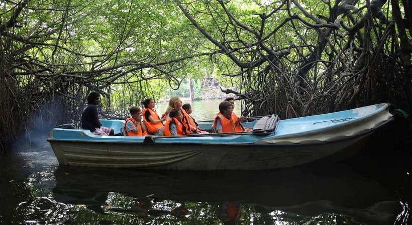 Madu River Boat Tour and Cinnamon Garden visit - What you may see between the mangroves