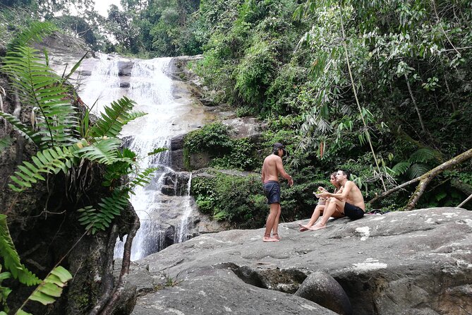 Magical River Trek - A gentle start through proper rainforest