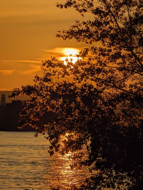 Mainz: guided evening tour of the Rhine riverbank/old town in German and English - Key points to know before you book