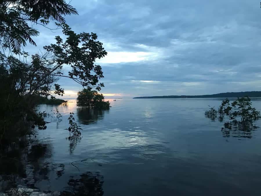 Manaus: 2-Day River Tour With Overnight Stay - Three hours learning the forest on foot