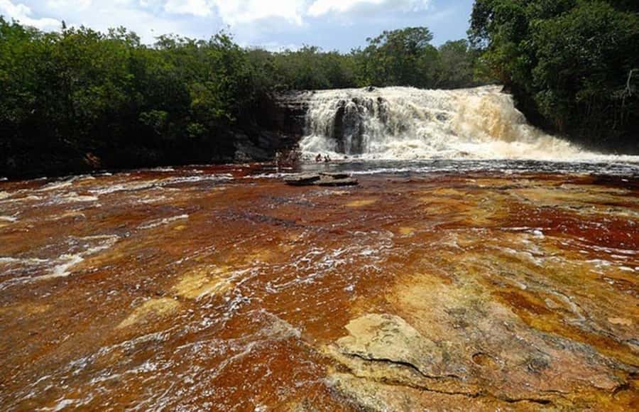 Manaus: Amazon Waterfalls Day Trip with Lunch - Key points before you book
