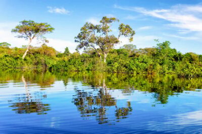 Full-Day Tour on the Amazon River