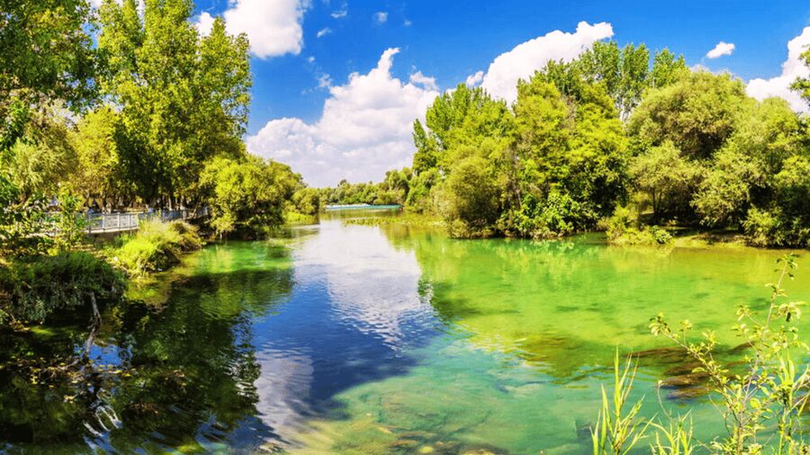 Manavgat River Cruise With Waterfall & Bazaar Tour - Manavgat market, food stalls, spices, and shopping pressure