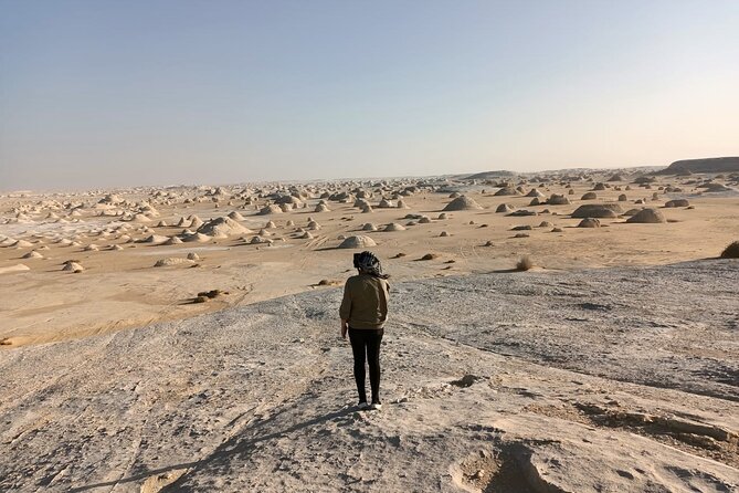 Marvel 10 Day to Giza Pyramids ,White desert ,Nile Cruise & Hotel - Aswan, Philae, and the first Nile views