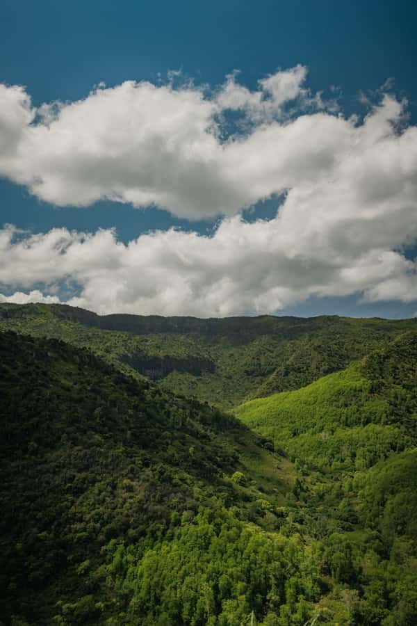 Mauritius: Black River Gorges National Park 3-Hour Hike - Key points to know before you book