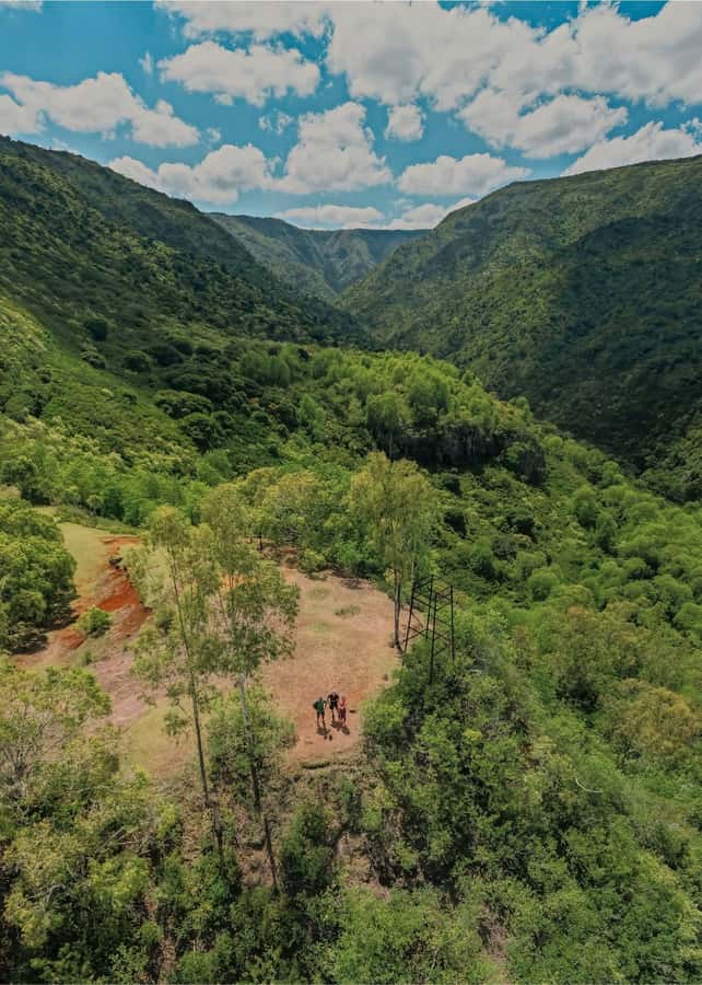 Mauritius: Black River Gorges National Park 3-Hour Hike - What to bring for a comfortable hike