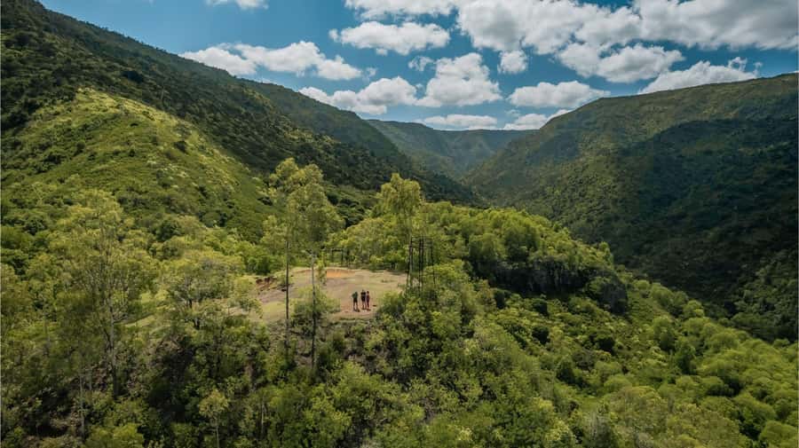 Mauritius: Black River Gorges National Park 3-Hour Hike - Why this Mauritius hike is worth your morning
