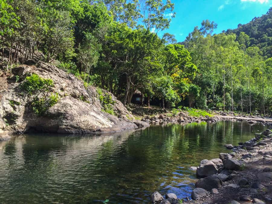 Mauritius: Black River Gorges National Park 3-Hour Hike - Viewpoints over the mountains and sea