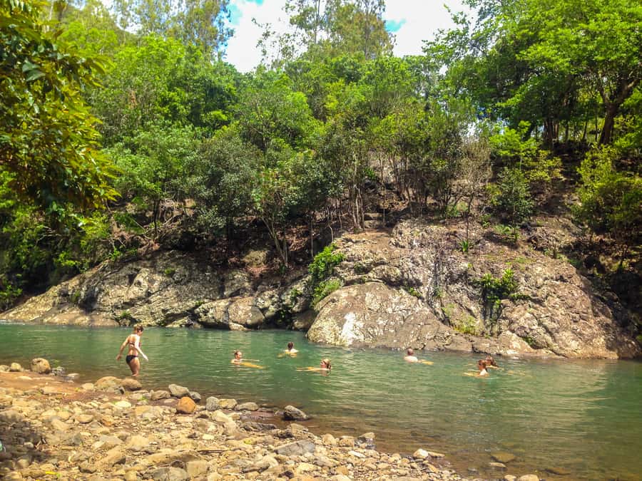 Mauritius: Black River Gorges National Park 3-Hour Hike - The river swim at the end