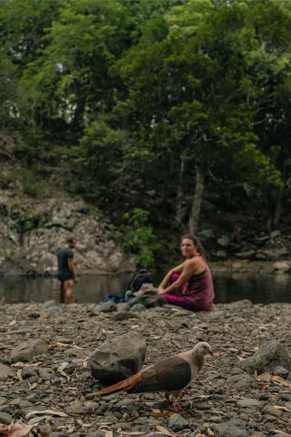 Mauritius: Black River Gorges National Park 3-Hour Hike - Who should book this walk