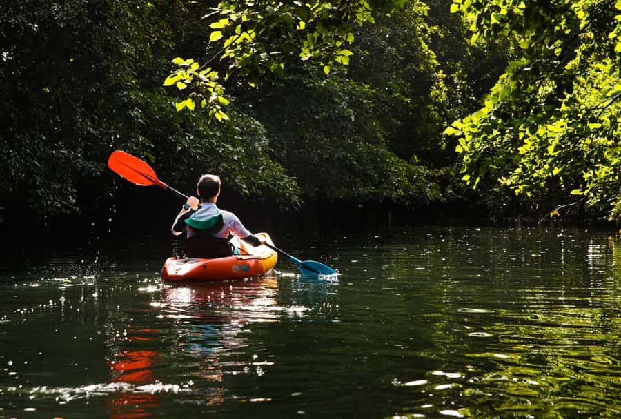 Mauritius: Guided Kayak Tour on Tamarin River - Leaving Tamarin Bay for the quiet river