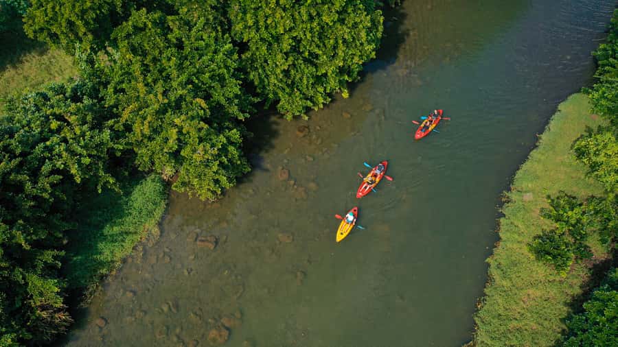 Mauritius: Guided Kayak Tour on Tamarin River - Is $55 a fair price?