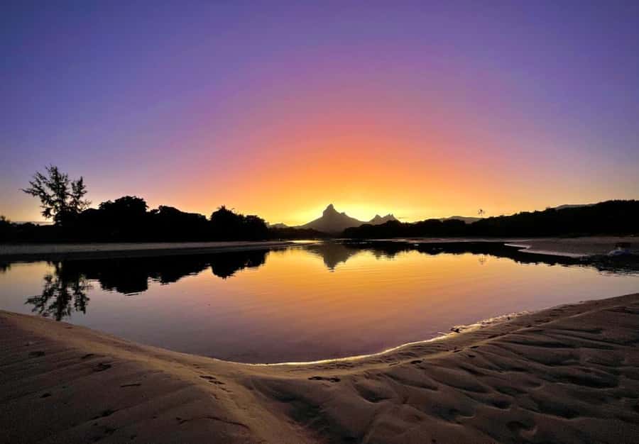 Mauritius: Guided Sunrise Kayak Tour on the Tamarin River - Wildlife on the wooded river edge