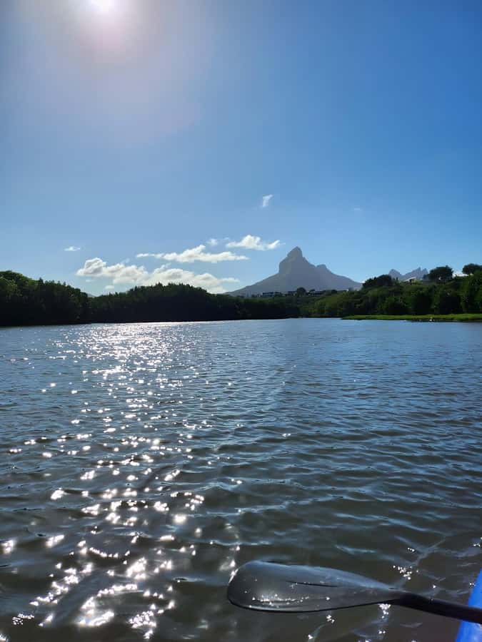 Mauritius: River Guided Kayak Tour with Monkeys - Starting at Lakaz Kayak Ltd in Tamarin