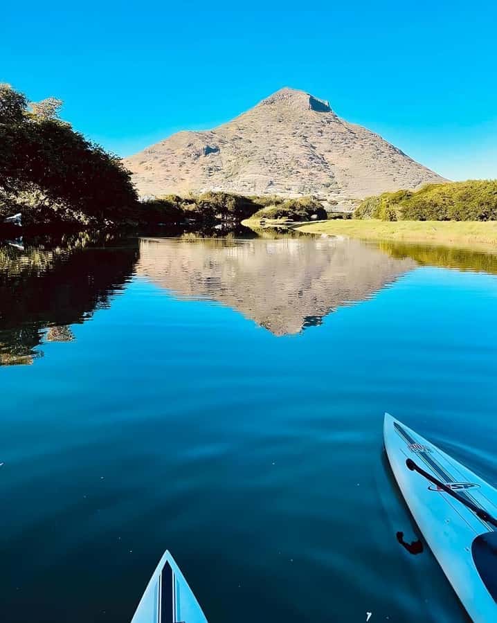 Mauritius: River Guided Kayak Tour with Monkeys - Looking for monkeys in their natural setting