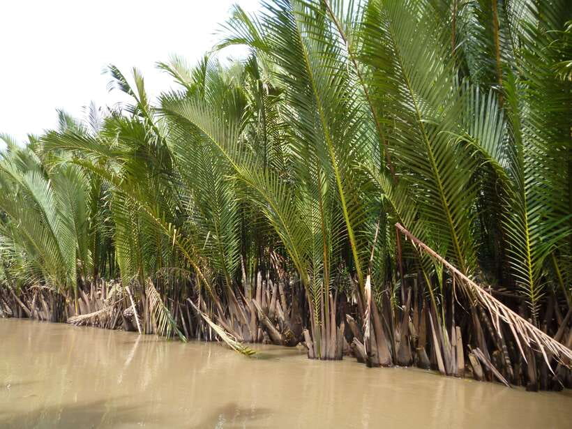 Mekong Day Tour by Car:Cai Be market, Local Island & Cycling - Who will enjoy this Cái Bè day most