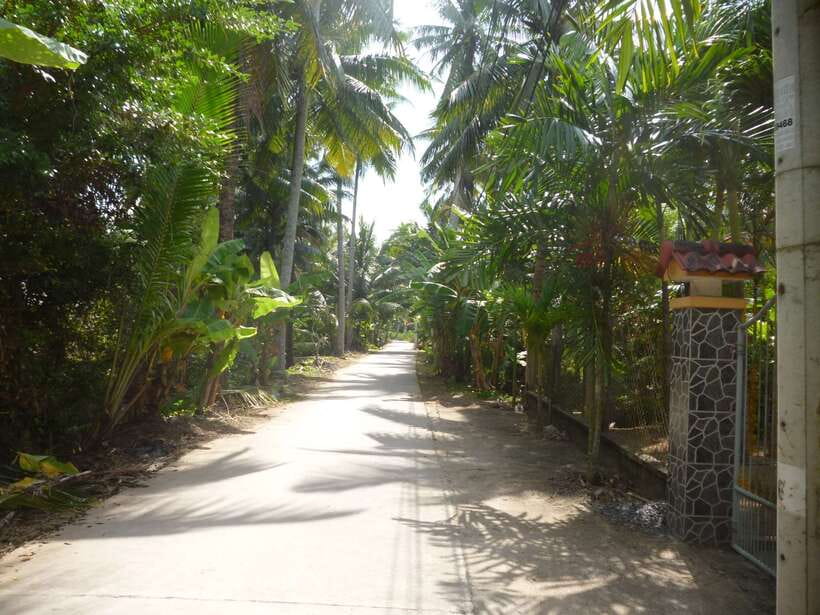Mekong Day Tour by Car:Cai Be market, Local Island & Cycling - The 7:30 AM drive from Ho Chi Minh City