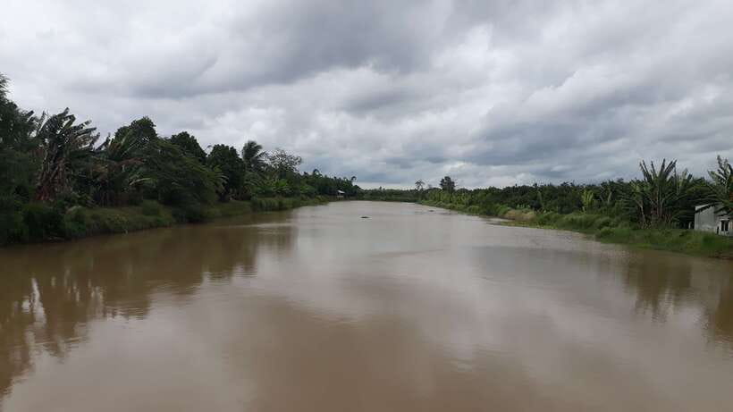 Mekong Day Tour by Car:Cai Be market, Local Island & Cycling - Noon lunch at a garden house