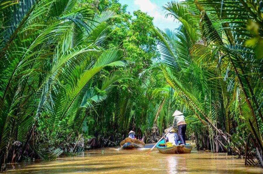 Mekong Delta Full Day Tour | From Ho Chi Minh, Vietnam - Honey tea, coconut candy, and family businesses
