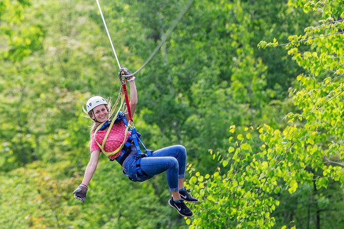 Minnesota River Valley 14-Line Thrilling Zipline Canopy Tour - Key points to know before booking