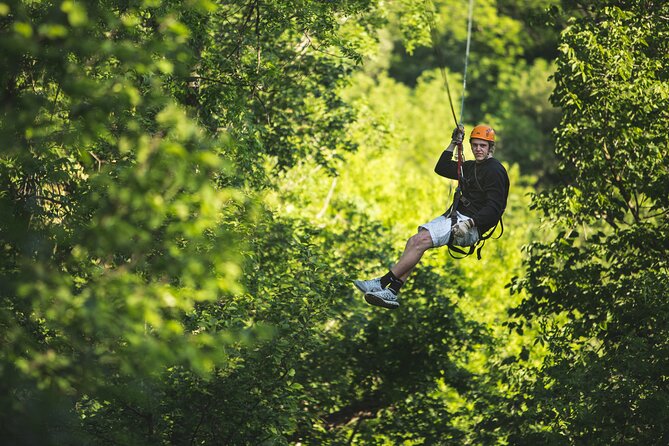 Minnesota River Valley 14-Line Thrilling Zipline Canopy Tour - Who will enjoy this course most
