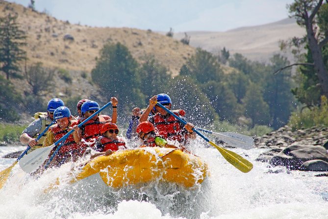 Montana Whitewater Half Day Raft Trip - Yellowstone River - Seeing Yellowstone country from the water