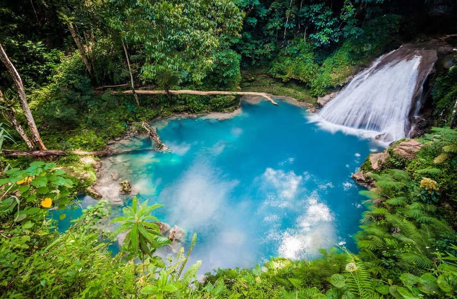 Montego Bay: Blue Hole, Dunn’s River, and Beach Club Trip - Key points to know before booking