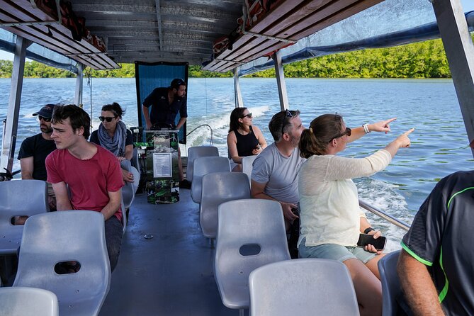 Morning Daintree Tour with River Cruise from Port Douglas - The Daintree River cruise: wildlife without a guarantee