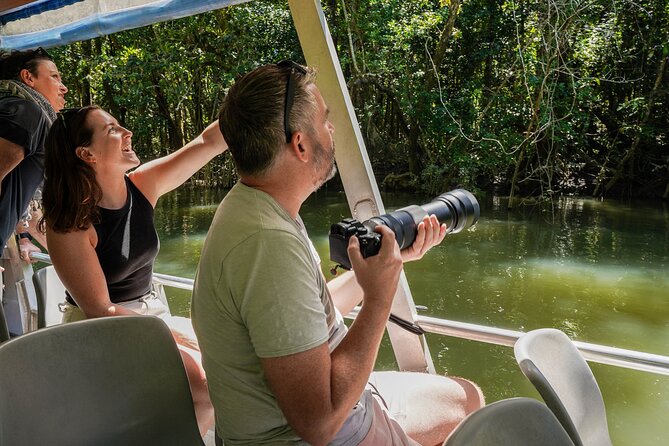 Morning Daintree Tour with River Cruise from Port Douglas - Mossman Gorge: the scenic highlight