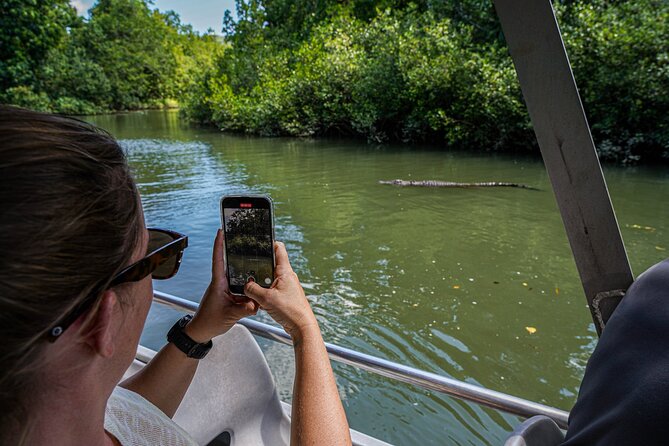 Morning Daintree Tour with River Cruise from Port Douglas - Who should book this half-day tour?