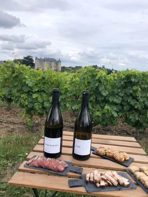Morning - Loire Valley Wine Tour & Food Pairing, Vouvray - The minivan ride and the Loire countryside