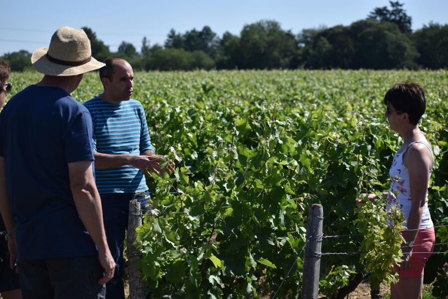 Morning - Loire Valley Wine Tour & Food Pairing, Vouvray - Is $147 a fair price?